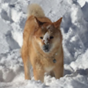 Meet your Posher, Sung